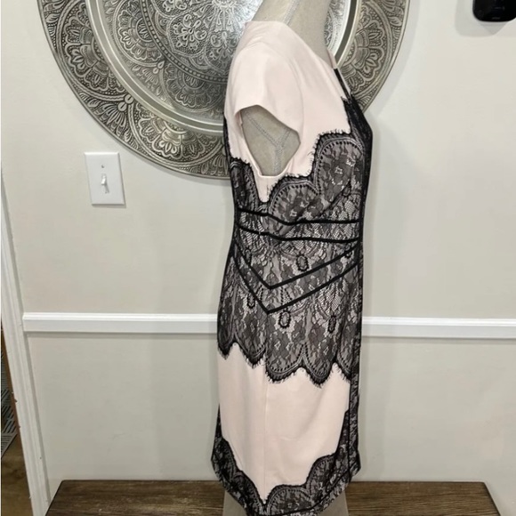 SOLD NWT Adrianna Papell Dress - Picture 9 of 14